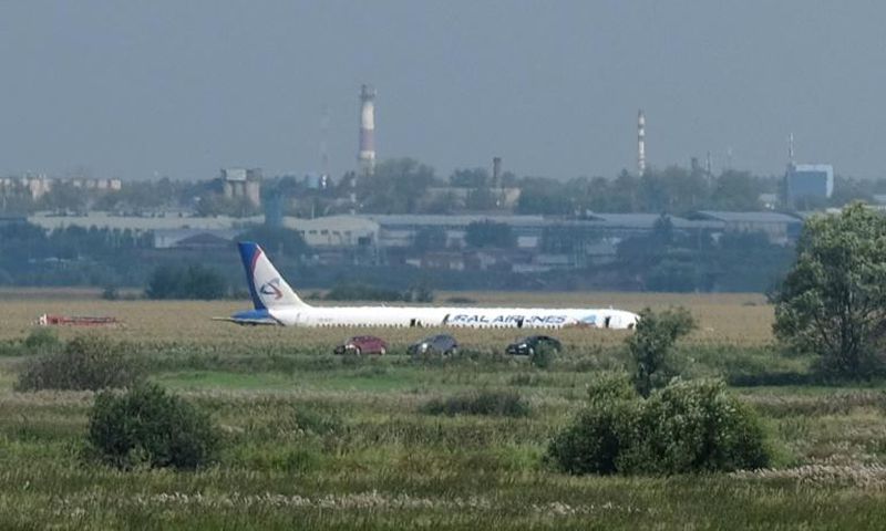 the Ural Airlines Airbus The A321 flying to Crimea hit a flock of seagulls shortly after take-off from Moscow's Zhukovsky airport