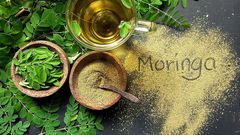 Moringa Tea