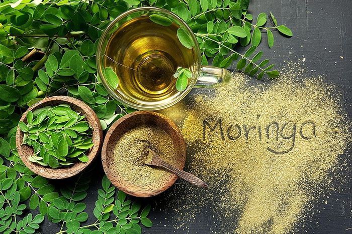 Moringa Tea