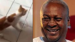 Former President Mahama shares a video of a mouse chasing a big cat; people are interpreting