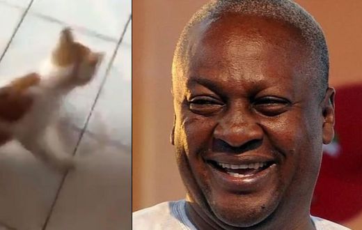 Former President Mahama shares a video of a mouse chasing a big cat; people are interpreting