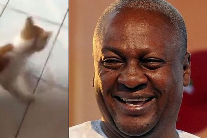 Former President Mahama shares a video of a mouse chasing a big cat; people are interpreting