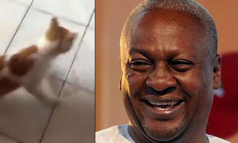 Former President Mahama shares a video of a mouse chasing a big cat; people are interpreting