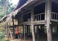 10-year-old boy who lost his entire family refuses to be adopted; he’s farming to fend for himself