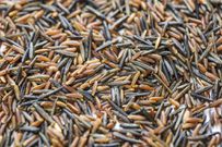 The 12 Healthiest Whole Grains To Eat, According To Nutritionists