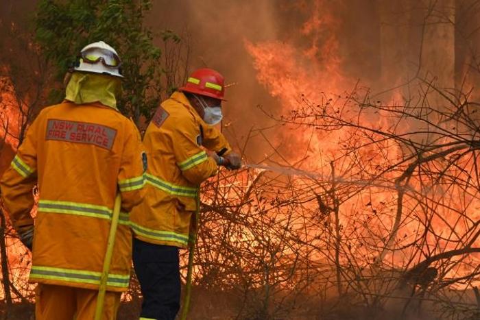 Bushfires are common in the country but scientists say this year's season has come earlier and with more intensity due to a prolonged drought and climatic conditions fuelled by global warming
