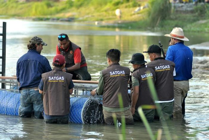 Australian crocodile wranglers  Matthew Nicolas Wright (right) and Chris Wilson (left) directing the lndonesian team in setting the trap in the river in Palu