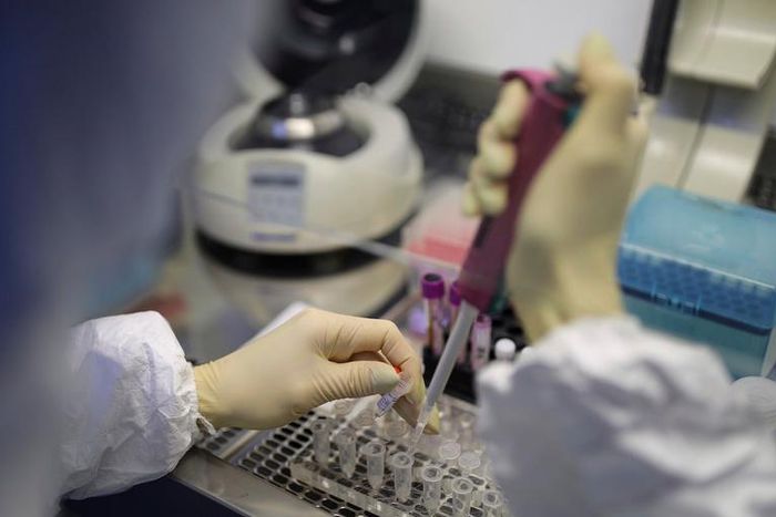 coronavirus test kit