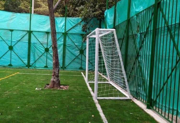 New football pitch has two living trees as goalkeepers, court order says nobody should touch them (video)