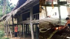 10-year-old boy who lost his entire family refuses to be adopted; he’s farming to fend for himself