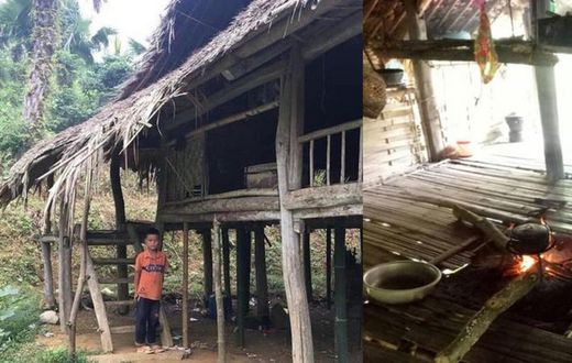 10-year-old boy who lost his entire family refuses to be adopted; he’s farming to fend for himself