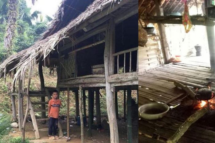 10-year-old boy who lost his entire family refuses to be adopted; he’s farming to fend for himself