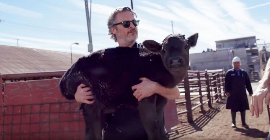 Joaquin Phoenix and Indigo, the baby calf.