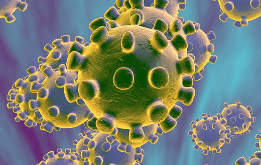coronavirus