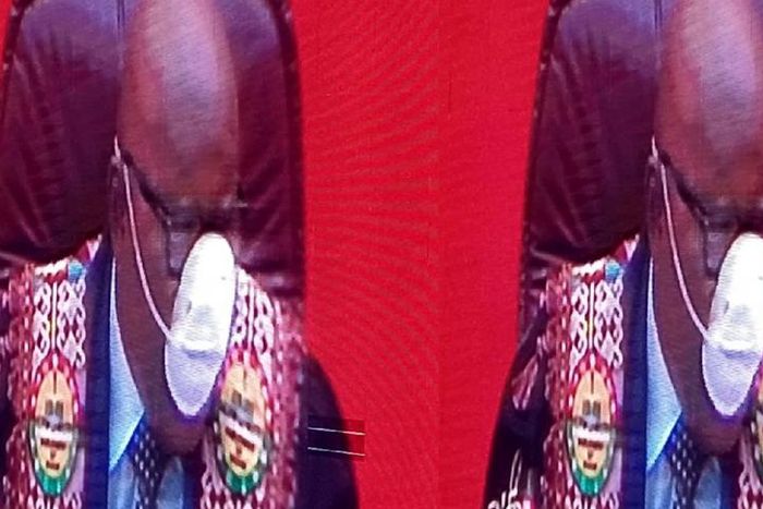 Coronavirus: Speaker takes precaution by wearing mask to Parliament