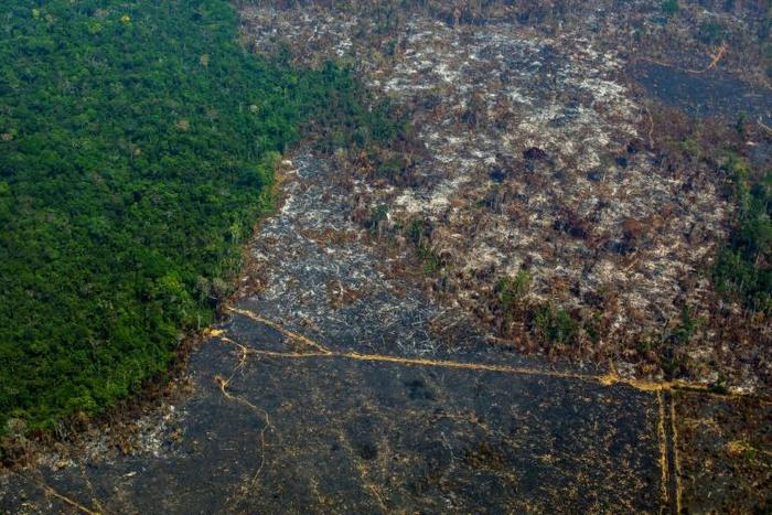 Deforestation in Brazil's Amazon, shown in this photo taken in Para state in August 2019, has risen sharply this year