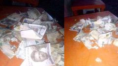 Man in tears as an evil rat destroys his Christmas savings