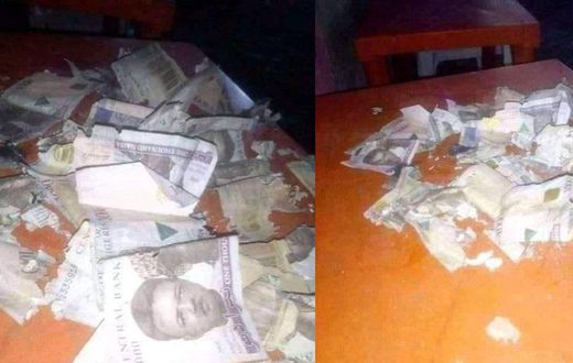 Man in tears as an evil rat destroys his Christmas savings