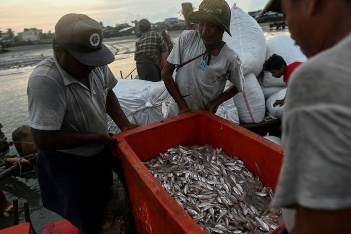 Aung Gyi is forced to fish covertly under the shroud of night in western Myanmar waters -- China may be trying to transform the strategically key region into a shipping and industrial hub -- but locals and activists fear they are being left out of the ...