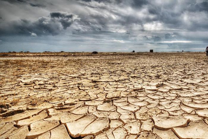 Dr. Pimple Popper Removes Crusty, 'Dried Up' Black