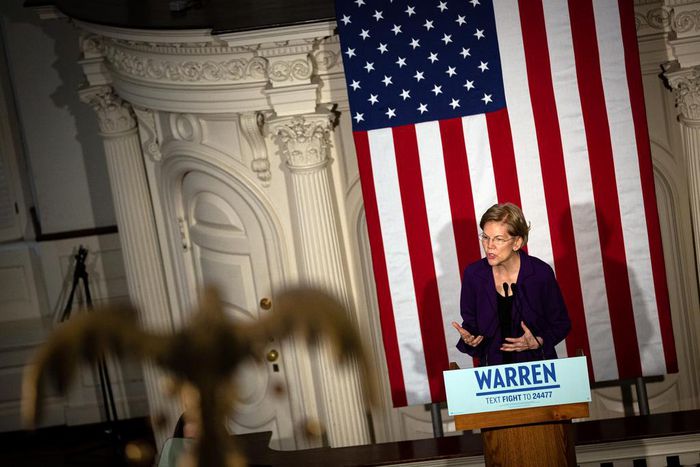 Warren Urges Democrats to 'Imagine' a Better America (and Her as President)