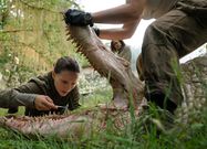 Natalie Portman in Annihilation.