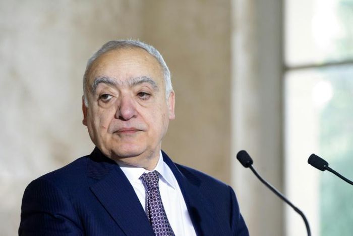 UN Envoy for Libya Ghassan Salame has mediated in talks held in Geneva, where he said representatives of the warring parties had agreed on the principle of turning their shaky truce into a lasting ceasefire