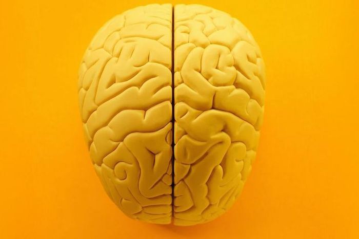 Dr. Pimple Popper Removes a Yellow 'Brain' Lipoma