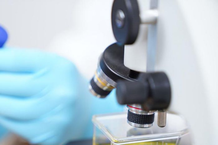 When Will The Novel Coronavirus Pandemic Be Over?