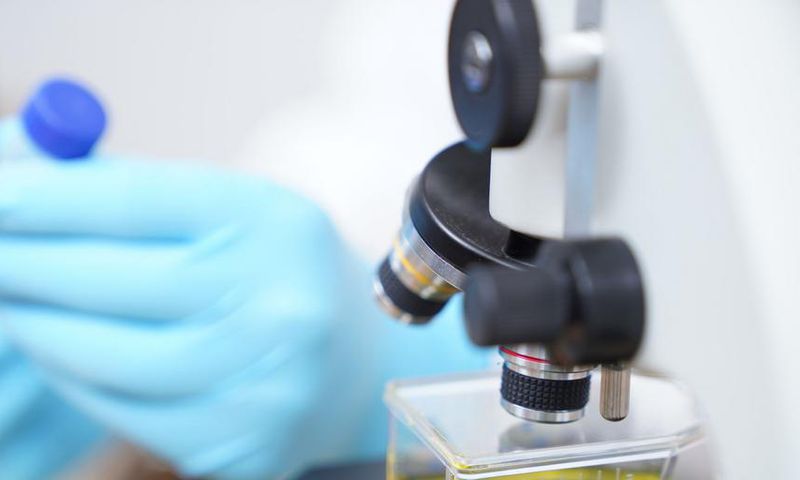 When Will The Novel Coronavirus Pandemic Be Over?
