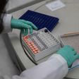 Most New York Coronavirus Cases Came From Europe, Genomes Show