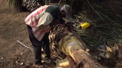 Palmwine tapper’s wife gives birth to triplets (photos)