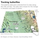 Meet the scientist who’s been counting California butterflies for 47 years