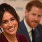 Prince Harry and his wife Meghan have repeatedly complained about intrusive media