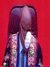 Coronavirus: Speaker takes precaution by wearing mask to Parliament