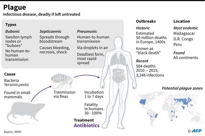 Factfile on plague