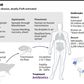 Factfile on plague