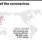 Countries and teritories with confirmed cases of the new coronavirus as of February 29 at 17:00 GMT.
