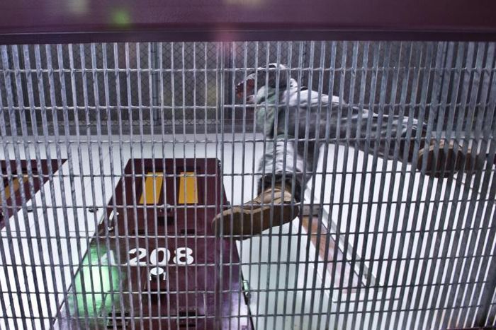 A US Army soldier walking in a detainee facility at the  US Navy's Guantanamo Bay base