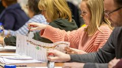 Sinn Fein had an unexpected surge in support in the general election