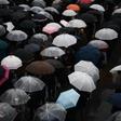 Hundreds of people queued in the rain for a chance to attend the first session in a trial of a man accused of murdering 19 people at a care home for the disabled in Japan