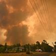 Large parts of Australia have been ravaged by massive bushfires