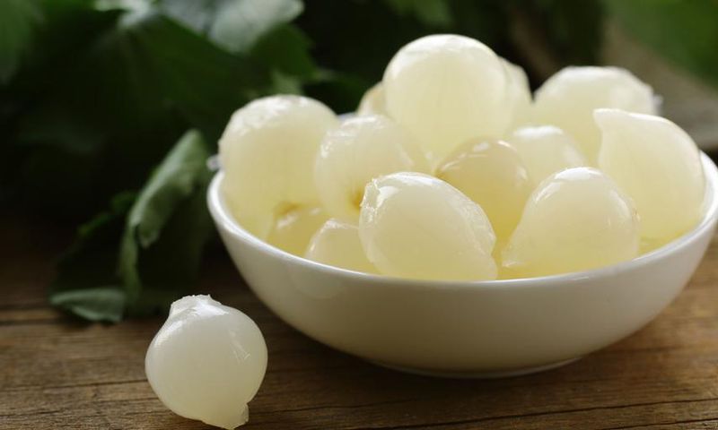 Dr. Pimple Popper Pops 'Pearl Onion' Cyst