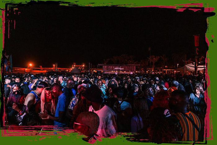 Girls confess how they 'hoed' at Afronation