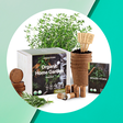 Grow Fresh Herbs At Home With This Starter Kit