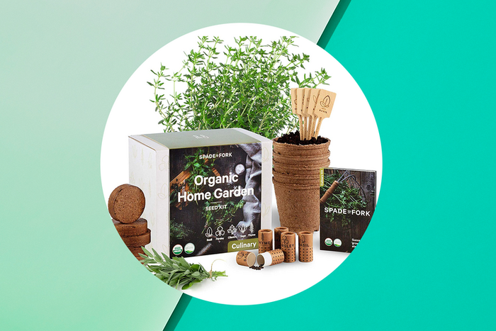 Grow Fresh Herbs At Home With This Starter Kit