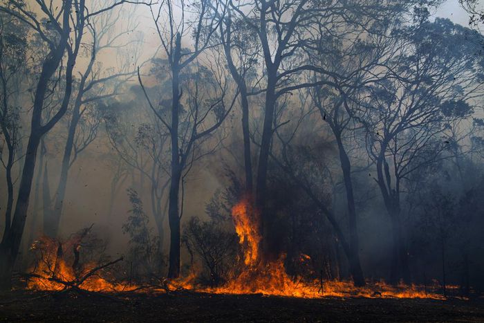 Native Solutions to Big Fires