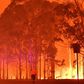 Temperatures were likewise higher than normal in New South Wales in Australia, where massive bushfires devastated large areas of the state