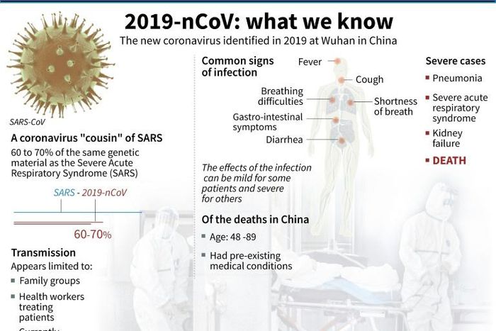 Symptoms of the coronavirus, common signs of infection, severe cases and treatment.