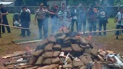 Police mistakenly get residents high after burning 3 tons of marijuana